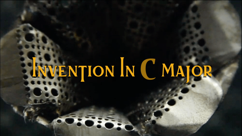 Screen Shot 2020-06-29 at 12.50.56 AM